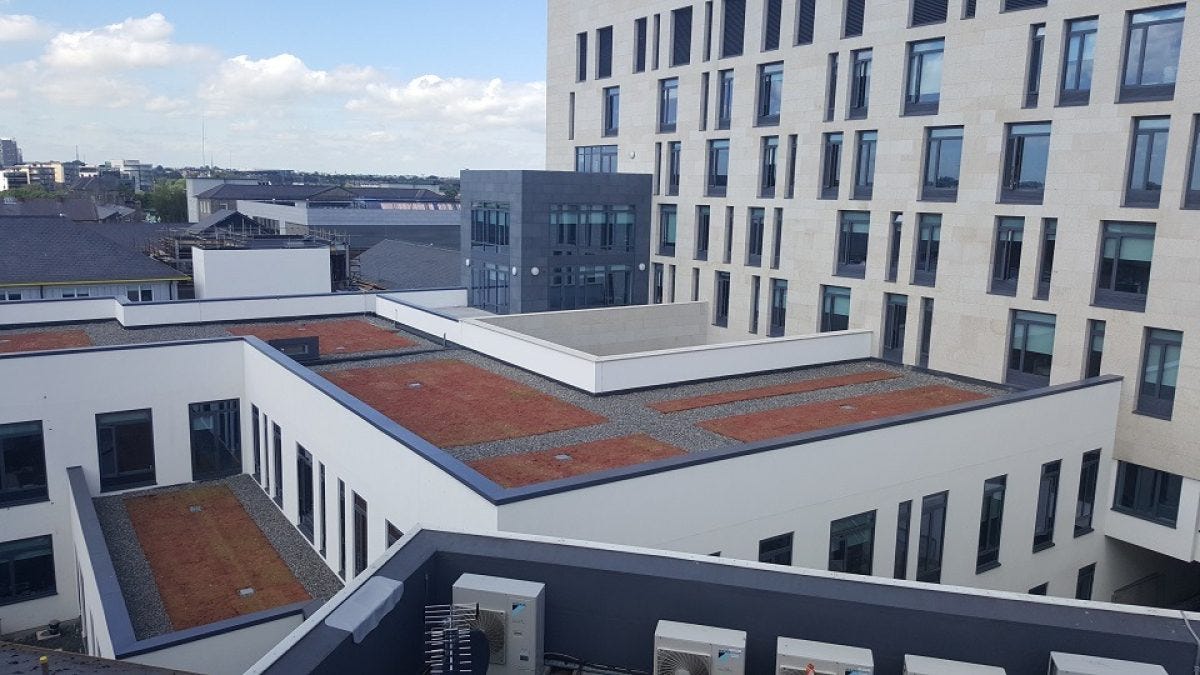 Misa Building, St James Hospital