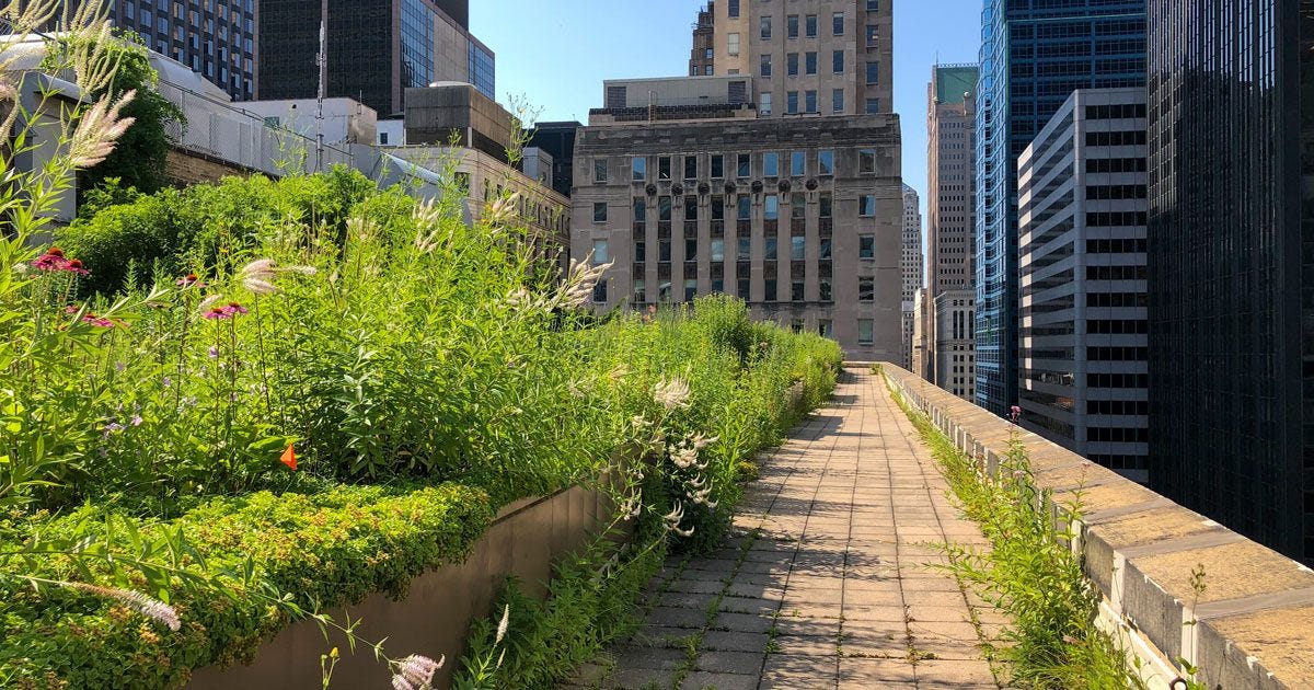 Roof gardens from SOPREMA IRELAND