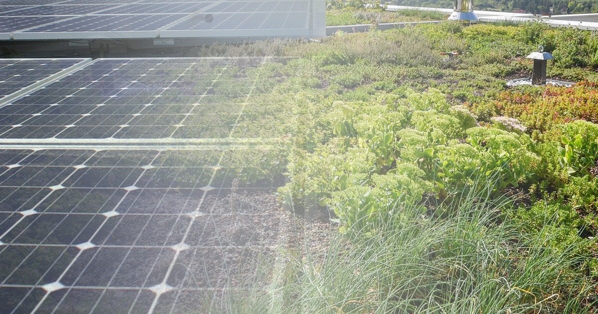 The importance of incorporating functional roofs into building design